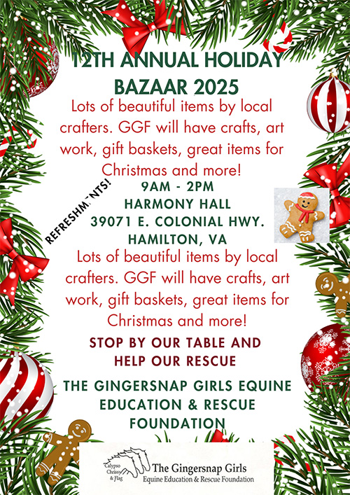 Holiday Bazaar Sale