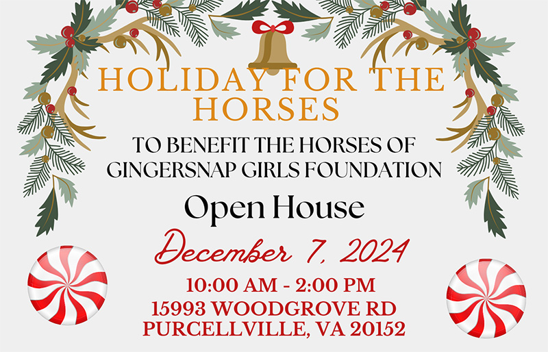 Holiday Open House