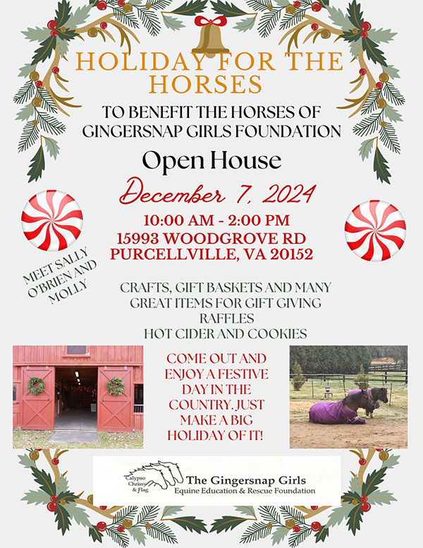 Holiday Open House